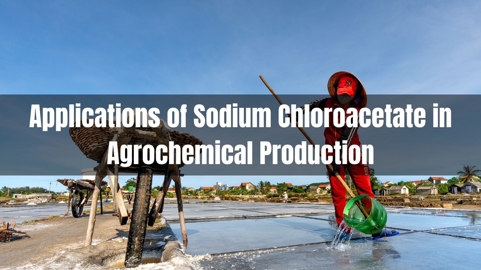 Applications of Sodium Chloroacetate in Agrochemical Production