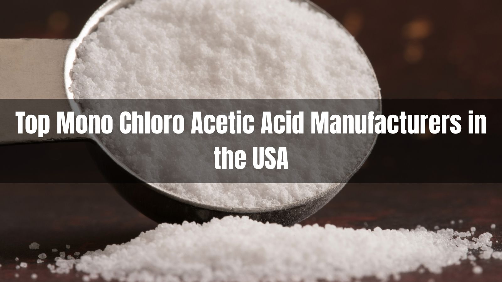 Top 10 Mono Chloro Acetic Acid Manufacturers in the USA 2026