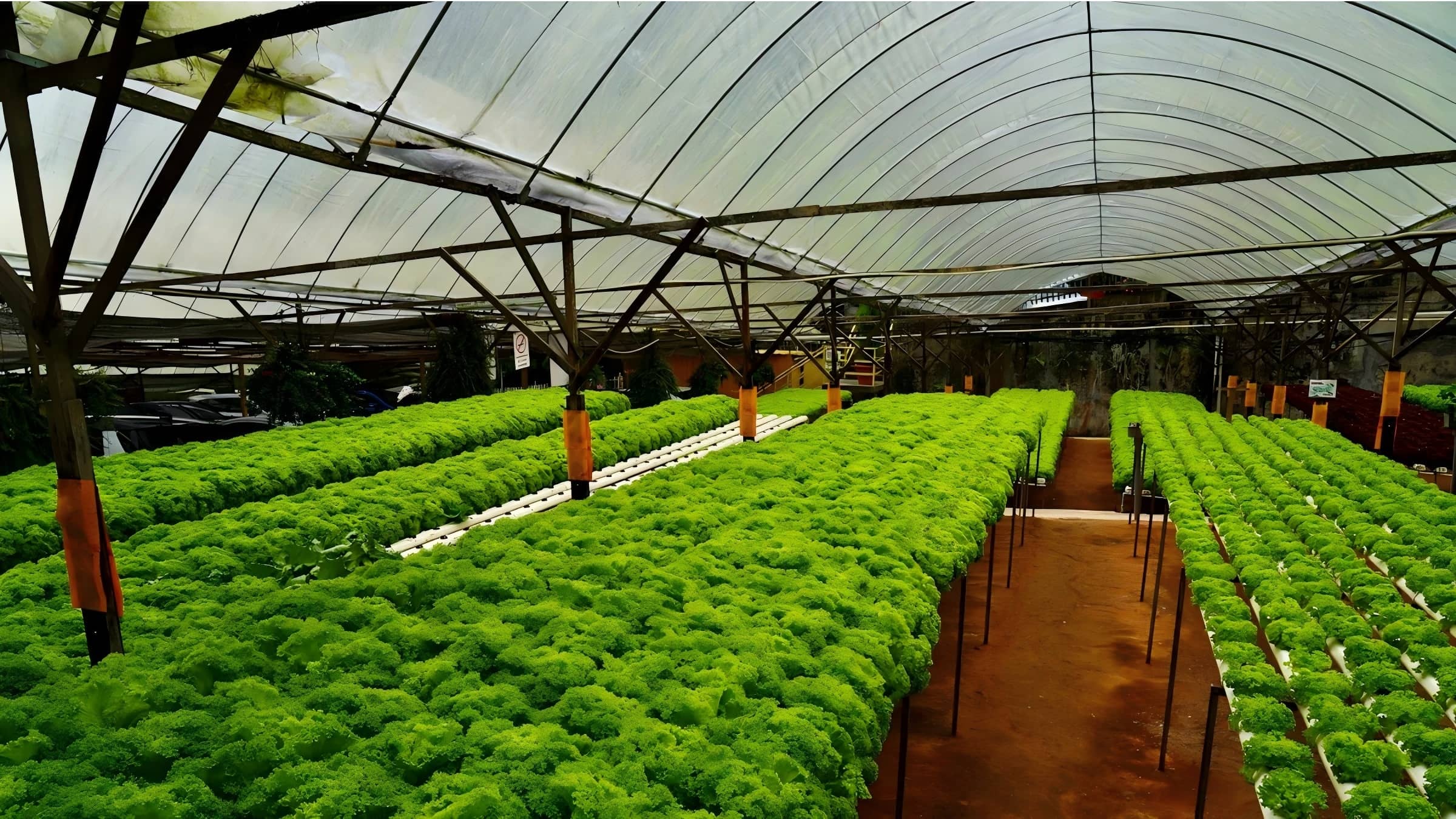 7 Innovative Firms Leading the Evolution of Sustainable Agrochemicals