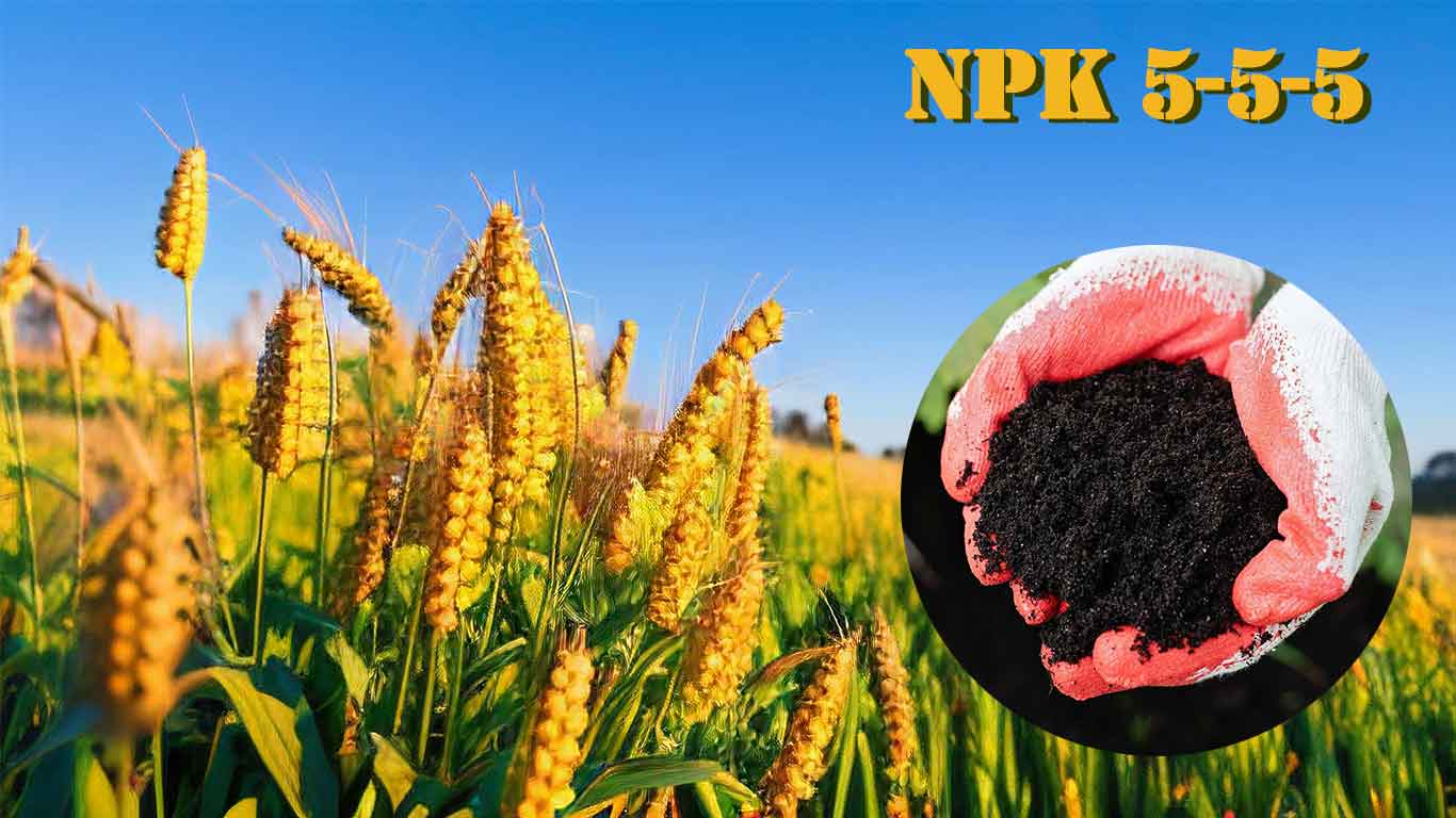 The Definitive Guide to NPK 5-5-5 Organic Fertilizer